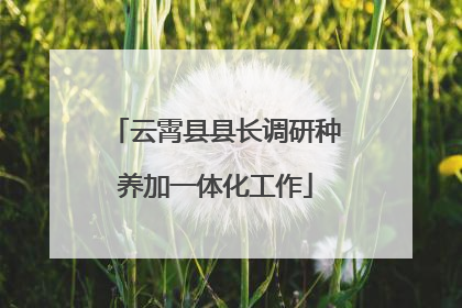 云霄县县长调研种养加一体化工作